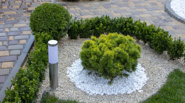 Использование декоративных камней в ландшафтном дизайне сада